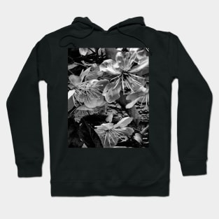 Blossom Hoodie